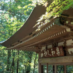 投稿日:2023年3月7日 写真