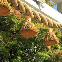 投稿日:2023年3月7日 写真