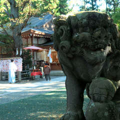 投稿日:2023年3月7日 写真