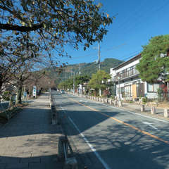 投稿日:2023年3月7日 写真