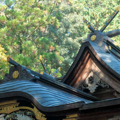 投稿日:2023年3月7日 写真