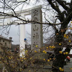 投稿日:2024年2月19日 写真