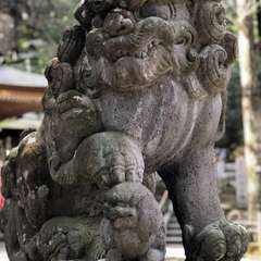 投稿日:2018年2月15日 写真