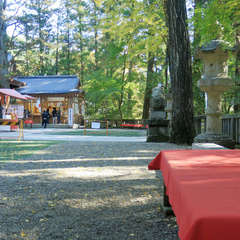 投稿日:2023年3月7日 写真