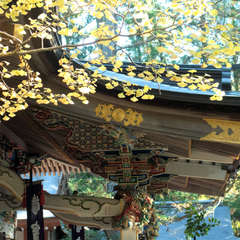 投稿日:2023年3月7日 写真