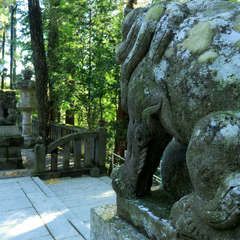 投稿日:2023年3月7日 写真