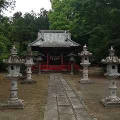 写真