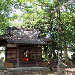 天神社(投稿日:2024年5月21日) 写真