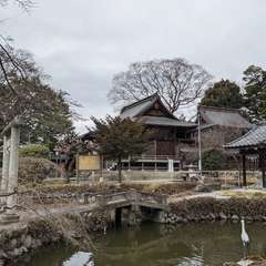 ⛩宗像神社(投稿日:2021年3月9日) 写真