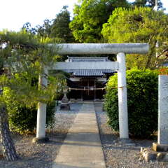 三嶋神社(投稿日:2025年7月12日) 写真