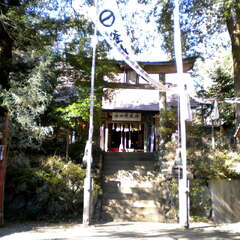 釜山神社(投稿日:2025年8月7日) 写真