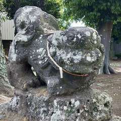 西粂原鷲宮神社 狛犬②(投稿日:2021年5月23日) 写真