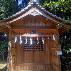 写真