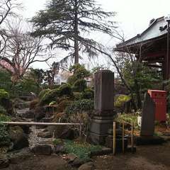 投稿日:2019年3月10日 写真