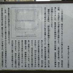 投稿日:2019年3月10日 写真