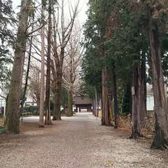 投稿日:2019年3月10日 写真