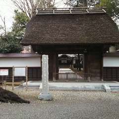 投稿日:2019年3月10日 写真