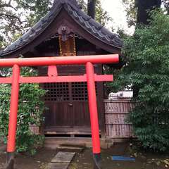 投稿日:2019年3月10日 写真