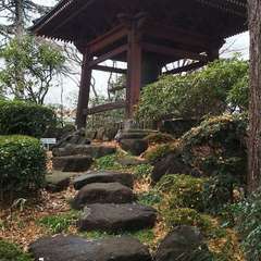 投稿日:2019年3月10日 写真