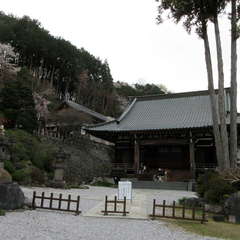 寂光山 浄心寺(投稿日:2024年4月6日) 写真