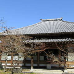 保寧寺(投稿日:2024年3月30日) 写真