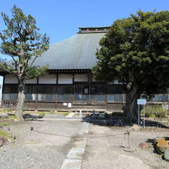龍花院(投稿日:2024年3月30日) 写真