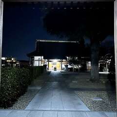 曹源寺(投稿日:2025年1月27日) 写真