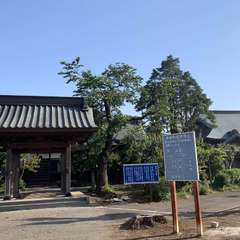 観音寺門から寺院をのぞむ(投稿日:2019年5月26日) 写真