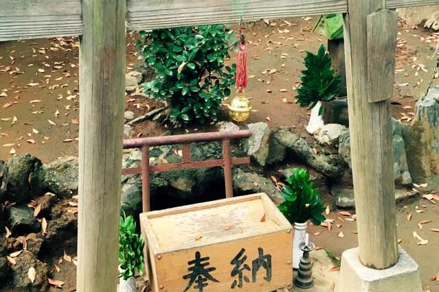 写真