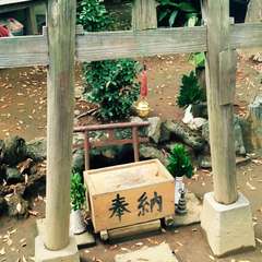 写真