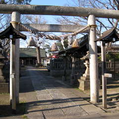 写真