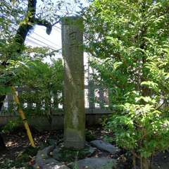 投稿日:2021年9月19日 写真