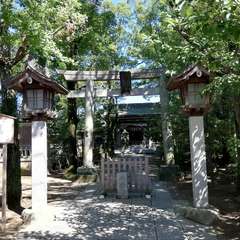 投稿日:2021年9月19日 写真