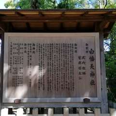 投稿日:2021年9月19日 写真