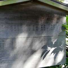 投稿日:2021年9月19日 写真