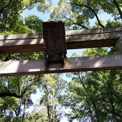 投稿日:2021年9月19日 写真