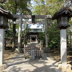 投稿日:2024年4月2日 写真