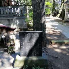 投稿日:2021年9月19日 写真