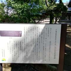 投稿日:2021年9月19日 写真