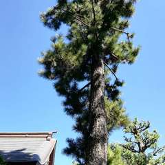 投稿日:2021年9月19日 写真