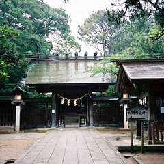 船橋大神宮(投稿日:2025年10月16日) 写真