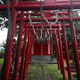 稲荷神社