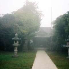 吾妻神社(投稿日:2025年10月15日) 写真