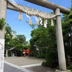 写真