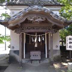 写真