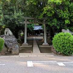 写真