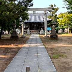 写真