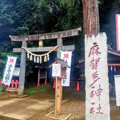 投稿日:2025年11月3日 写真