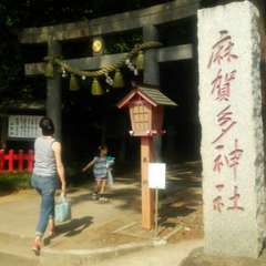 投稿日:2018年4月17日 写真