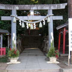 投稿日:2024年1月14日 写真